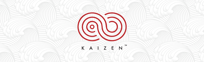 Introducing the KAIZEN Kendama