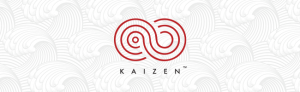 Kaizen WordPress Post
